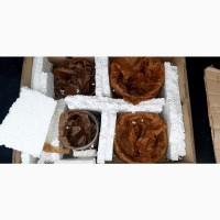 Судовые запчасти, оборудование в Киев, Днепр, Черкассы, Запорожье, Чернигов, Черновцы, Житомир