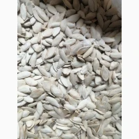 Продам кабакове гарбузове насіння