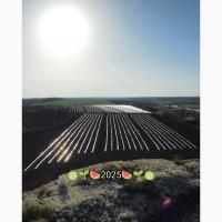 Продаємо кавуни та дині