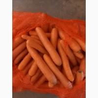 Морква мита імпорт