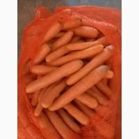 Морква мита імпорт