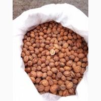 Продам кісточку манчжурського персика