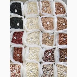 Продаємо високоякісну квасолю, відвантаження від 5 тонн