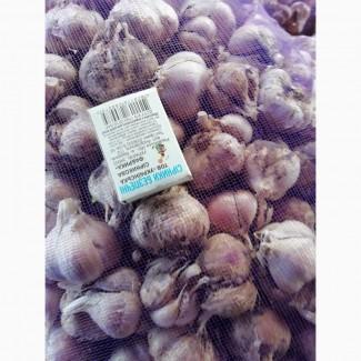 Продам посадковий часник любаша та зубок