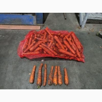 Продам моркву