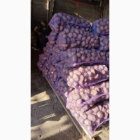 Продам картошку