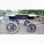 Продам молодого жеребца и карету