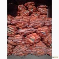 Продам моркву від 3 грн