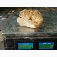 Продам трюфель