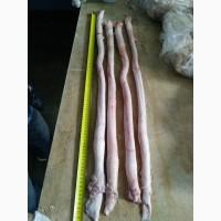 Говяжий субпродукты Жилка. аорта, пенис хвост