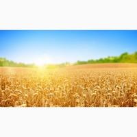 Продам агропредприятие