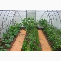 Теплицы с поликарбонатом или пленкой от производителя.3х4 3х6 3х8.4х6 4х8 4х10