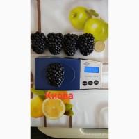 PROMALIN (Промалин) регулятор роста растений 500мл