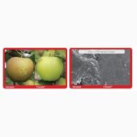 PROMALIN (Промалин) регулятор роста растений 500мл