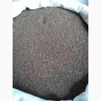 Семена фацелии Пыжмолистной