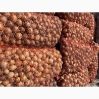 Продам лук не крупный, размер 3, 4