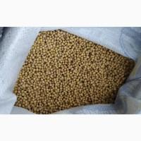 Соя під раундап рання Аполло-еліта/1реп