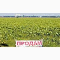 Продам с/г пай 3.5172