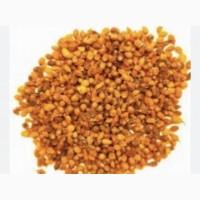 Продам обліпиху сушену, ягода обліпихи