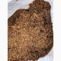 Вірджинія, Берлі, Голд