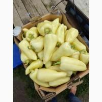 Продам перець кубовидний