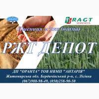 Насіння озимої пшениці РЖТ ДЕПОТ (СН, перша)