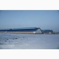 Продається комплекс сільськогосподарських приміщень