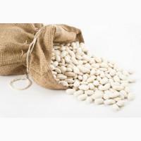 Продам квасолю бандоль