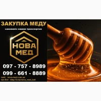 Купуємо мед цілий рік. Самовивіз транспортом компанії