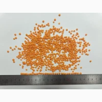 Продам сочевицю червону, шліфовану