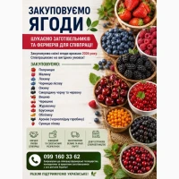 Закуповуємо ягоди