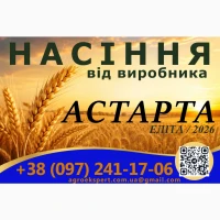 Елітне насіння озимої пшениці 2026 року від виробника