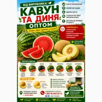 Продам кавун