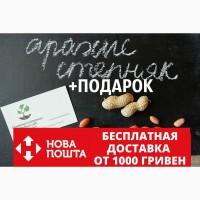Арахис сорт Степняк семена (20 шт) земляной орех семена на посадку насіння арахіс