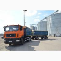 Зерновоз автопоезд МАЗ с прицепом