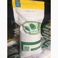 Насіннєвий матеріал Кукурудзи ГАРАНТІЯ МВ (ФАО 290)