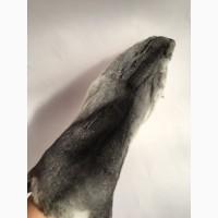 Шкурки, мех шиншилл