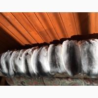 Шкурки, мех шиншилл