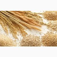 Продам крупы от производителя