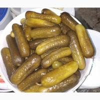 Огурцы соленые
