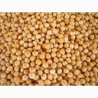 Горох жовтий будь який обєм