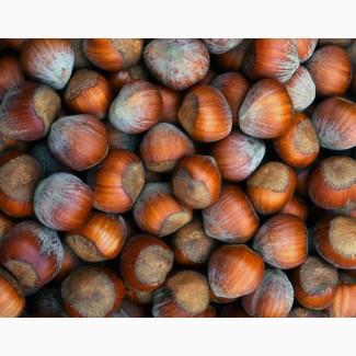 Машина для очистки фундука от плюски