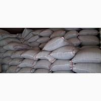 Чай чорний в мішках