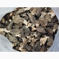 Продам сушені сморчки