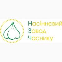 Часник Любаша, та Сабоголд опт та роздріб