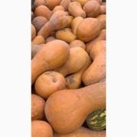Продам гарбуз - арабатський плоди від 0, 5 кг -15 кг