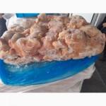 Продам куряче стегно