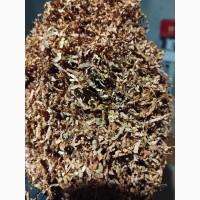 Капитан Блєк, Золоте Руно, Парламент, Собрание, Мальборо, Кент, Винстон