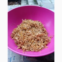 Продам тютюн гарної якості / Аксесуари / гільзи