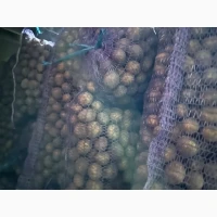 Продам картоплю